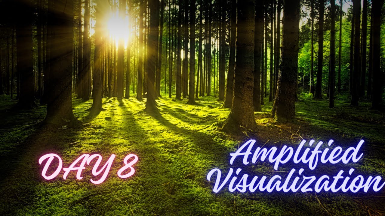 Day 8 - Amplified Visualization (Visualization Practice) | Manifesting meditation, Law of attraction