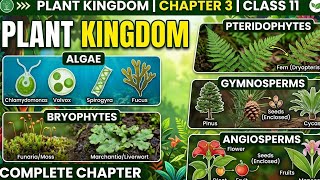 Plant Kingdom one shot || वनस्पति विज्ञान || class 11 ka ncert || studyzonehard