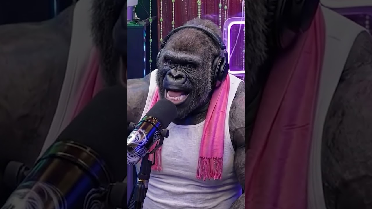 GORILÃO E ALBINÃO abrem o CORAÇÃO no INTELIGÊNCIA ltda