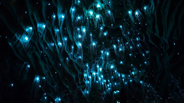 Waitomo's Lights  - Avatar in Real Life - 4k