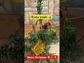 Home made Christmas tree 🎄 #youtube #youtubeshorts #shorts #trending #vlog #viralvideo #christmas