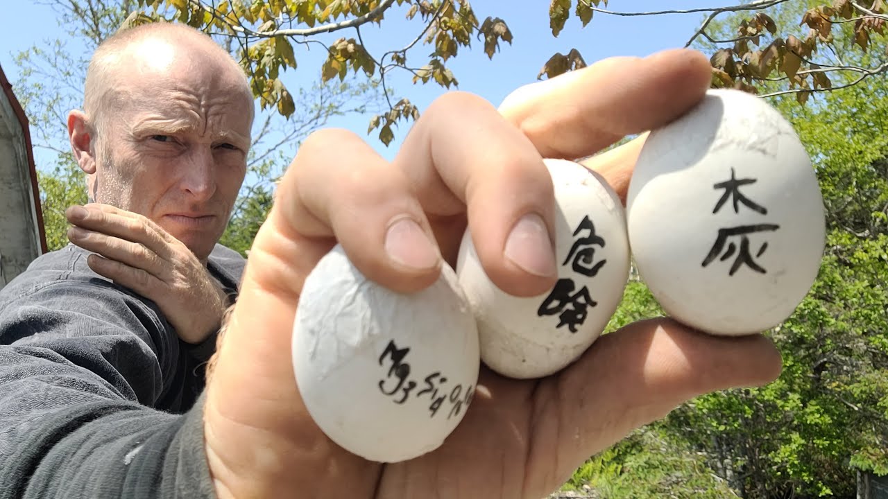 How to make Ninja Blinding Powder, Metsubushi, one of the most iconic ninja tools