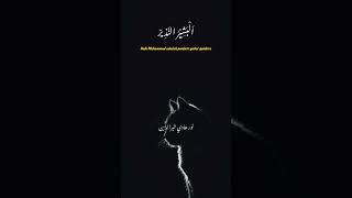 Lirik Albasyirun Nadzir  Gus Ilham Pasuruan gusilhdanasuruan liriksholawat mentahanlirik fyp