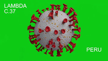 CORONAVIRUS VARIANTS (ORIGIN & DISCOVERY) : ALPHA, BETA, DELTA, ETA, GAMMA, IOTA, KAPPA & LAMBDA