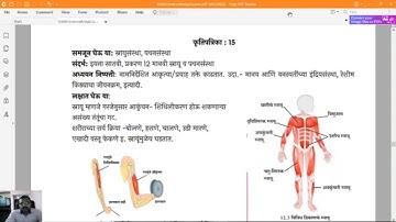 Bridge Course 8th Science 15-Activity