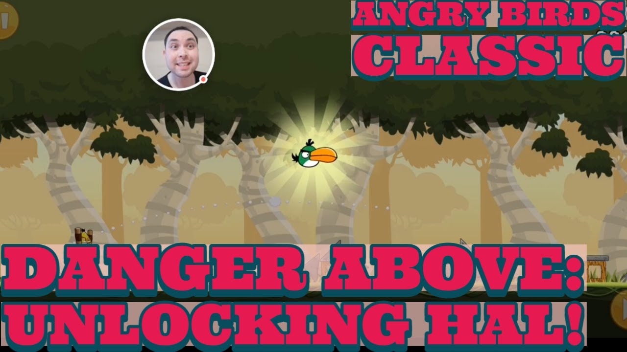 Angry Birds Vao Hal Campeao Perseguicao Cancelamento De Visto Da