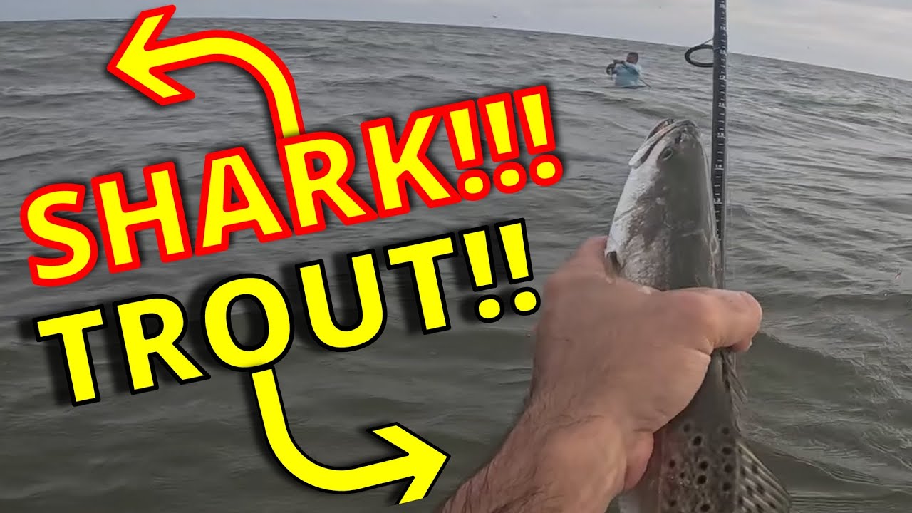 WILD! Surf Fishing Galveston, BIRDS ARE EVERYWHERE RIGHT NOW! 