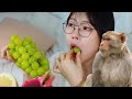 satisfying #1 [SULGI] Gao Gaozi's reaction to eating red dragon fruit for the first time was...