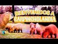 ¡Bienvenidos a Carpincholandia!