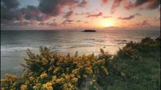 Dan Fogelberg - Longer (HD/HQ Audio)