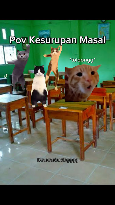 Pov Kesurupan Massal #fyp #meme #kucing #kucinglucu #kucingmeme #cat #horror #kesurupan #sekolah