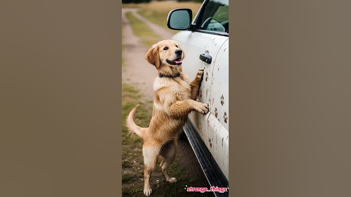🆘🚗🐶 Dog Stuck Deep in the Mud! Watch My SUV Pull Off an Epic Rescue! #dogrescue #cutepets #offroad