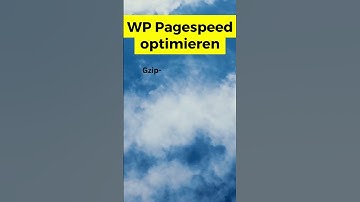 Wordpress schneller machen mit Gzip-Komprimierung zum Website-Performance verbessern #pagespeed #seo