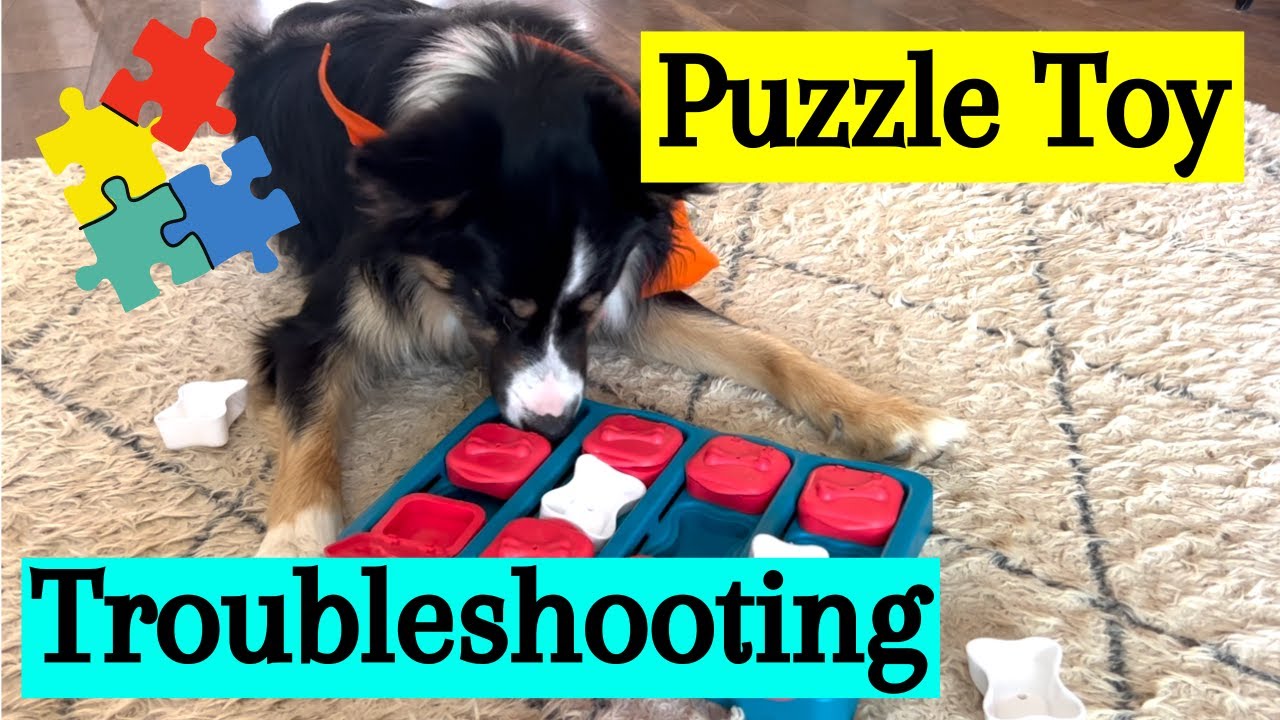 Interactive Dog Toys: Brain Games for Smart Pooches - DogiZone