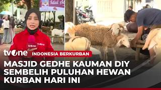 Masjid Gedhe Kauman, Yogyakarta akan Sembelih 29 Hewan Kurban | Indonesia Berkurban tvOne