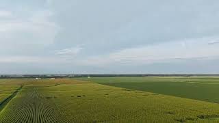 DJI 20260724064601 0002 D