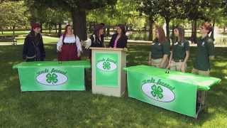 2013 State 4-H Roundup: 4-H Pirates