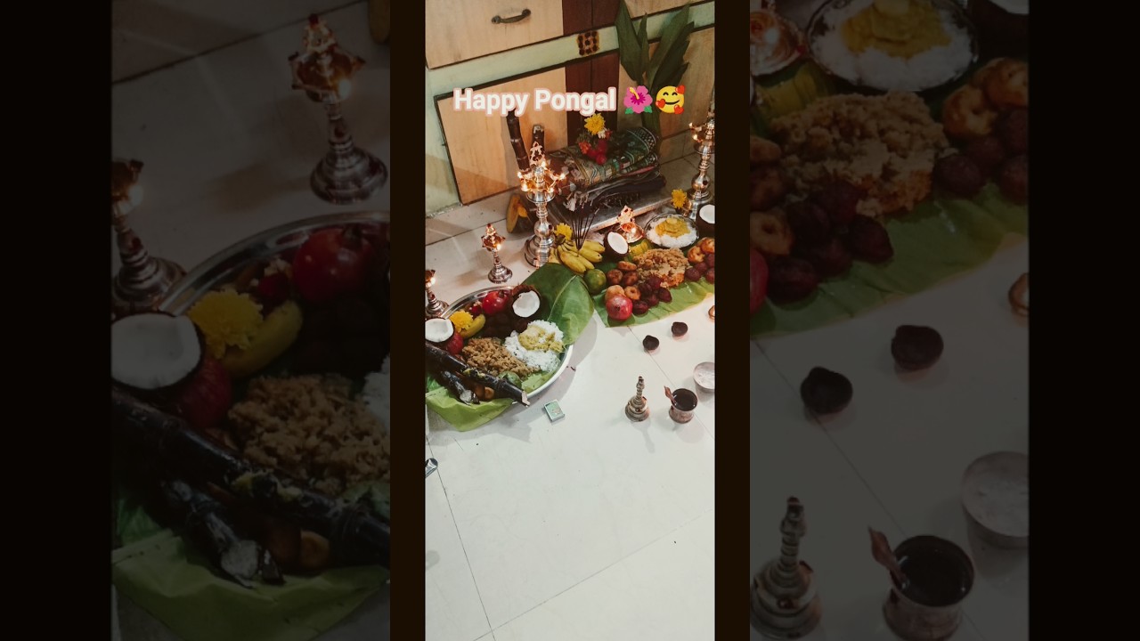 Happy Pongal 🙏🌾 | Pongal Special 🪔 #HappyPongal