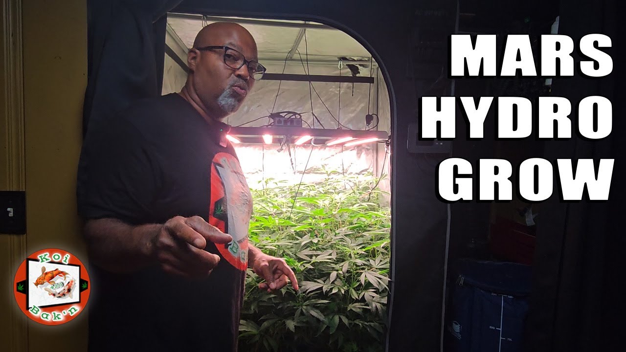 Еженедельное обновление и сброс настроек резервуара | Освещение Mars Hydro FC 4800-EVO и FC 8000-EVO