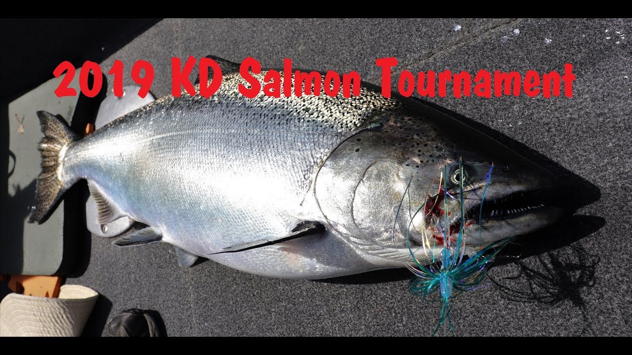 Lake Michigan Salmon Fishing 2019 KD Tournament Lake Michingan