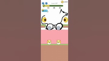 Save The Dog 🐶 Save By Dog 🐕😁 Level 257