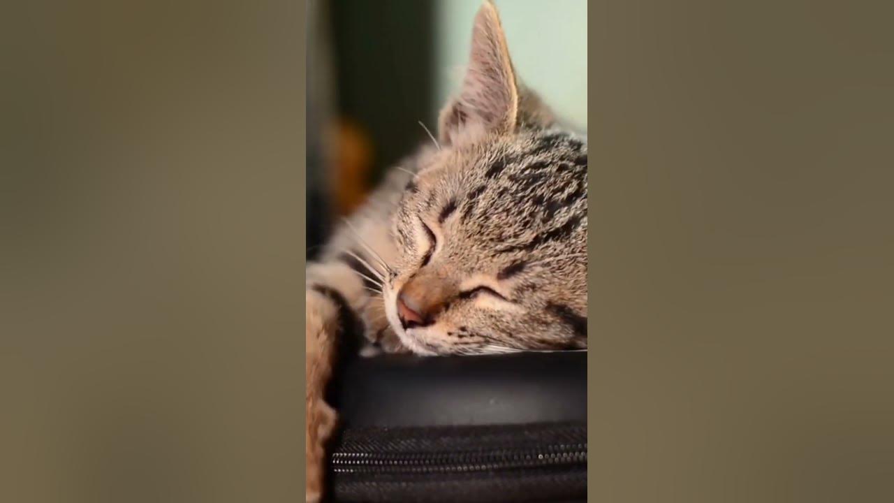 practise make a Man perfect YouTube