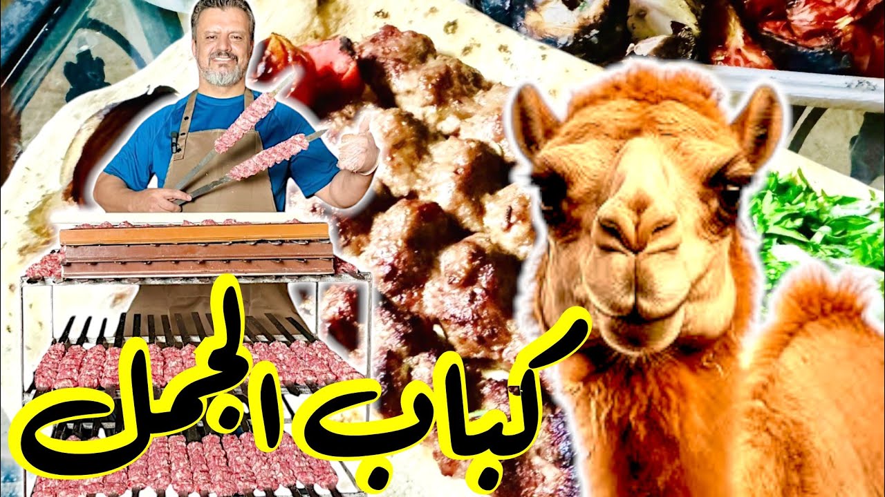 أسرار كباب الحاشي / صغير الجمل / والمكونات كاملة للوصول الى ألذ كباب