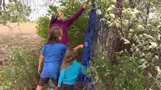 Saskatchewan landowner explores her creative side to stop construction of a pipeline