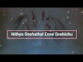 NITHYA SNEHATHAL ENNE SNEHICHU, MALAYALAM CHRISTIAN SONG