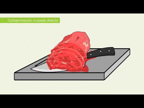 Curso de Jefe de Cocina 4