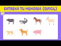 ¿Tienes una MEMORIA fuerte? Compruébalo con este TEST PARA ENTRENAR TU MEMORIA | BAZUM