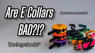E COLLAR Questions  ANSWERED! | SHOCK COLLARS?!