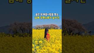 소류지 영상