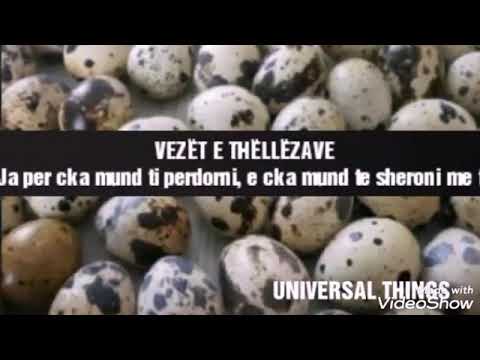 Video: Si Thëllëzat Lëshojnë Vezë