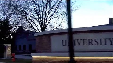 Zone Display Cases at The Speed Art Museum