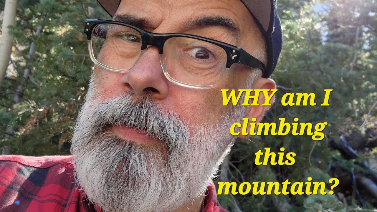 Climbing...oh, okay, hiking up Mount Charleston to Cathedral Rock