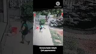 Sonuna Kadar Izleyin, Köpeğin Zekasına Çok Şaşırıp Inanamayacaksınız.