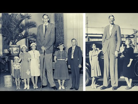 Video: Robert Wadlow is die langste man in die wêreld