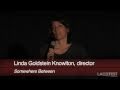 2011 LA Film Fest: Somewhere Between