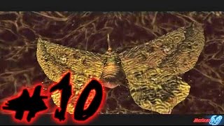 Devil May Cry 2 Ps2 - Dante Walkthrough Part 10