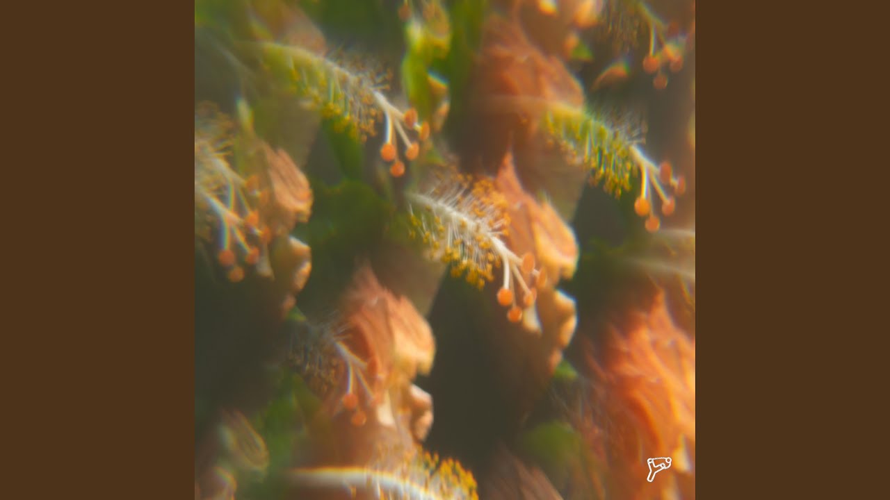 Watch Primavera on YouTube Watch Primavera on YouTube