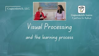 Let's Ask an Expert - Visual Processing