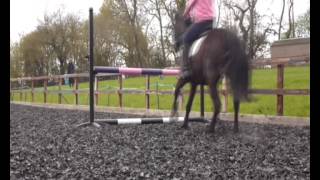 Download Lagu [DREAMER] MP3