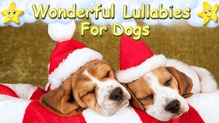 Relaxing Christmas Music For Dogs For A Super Effective Sleep 🎄🐶🎄