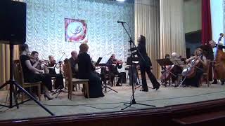 Дворжак. Серенада для струнного оркестра. 1-2 ч. ARS NOVA. В. Жадько.
