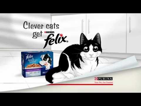 Purina - Clever