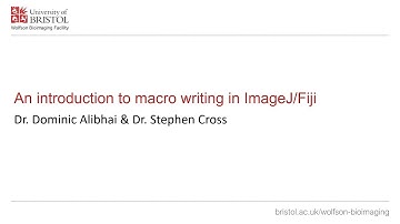 Introduction to programming and macro writing in ImageJ/Fiji (Part 2)