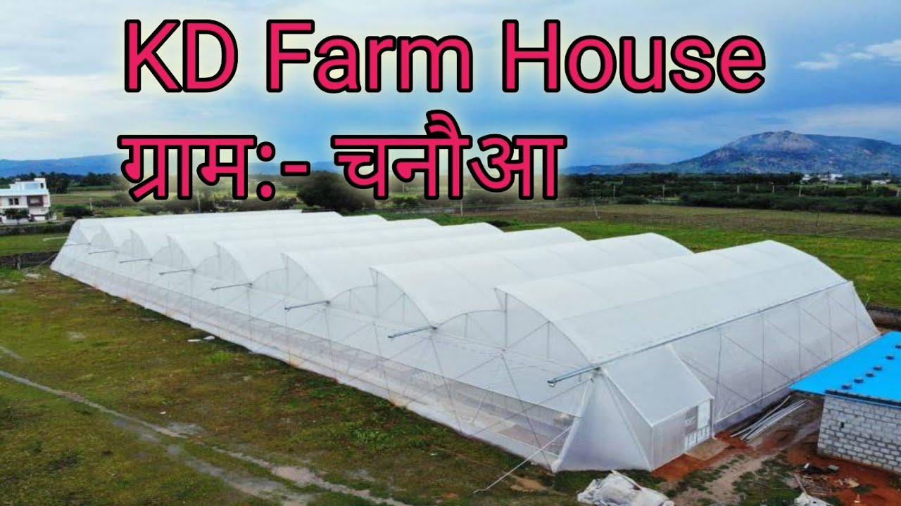 KD Farm House ग्राम चनौआ | polyhouse farming in Sagar madhya pradesh | polyhouse farming in india
