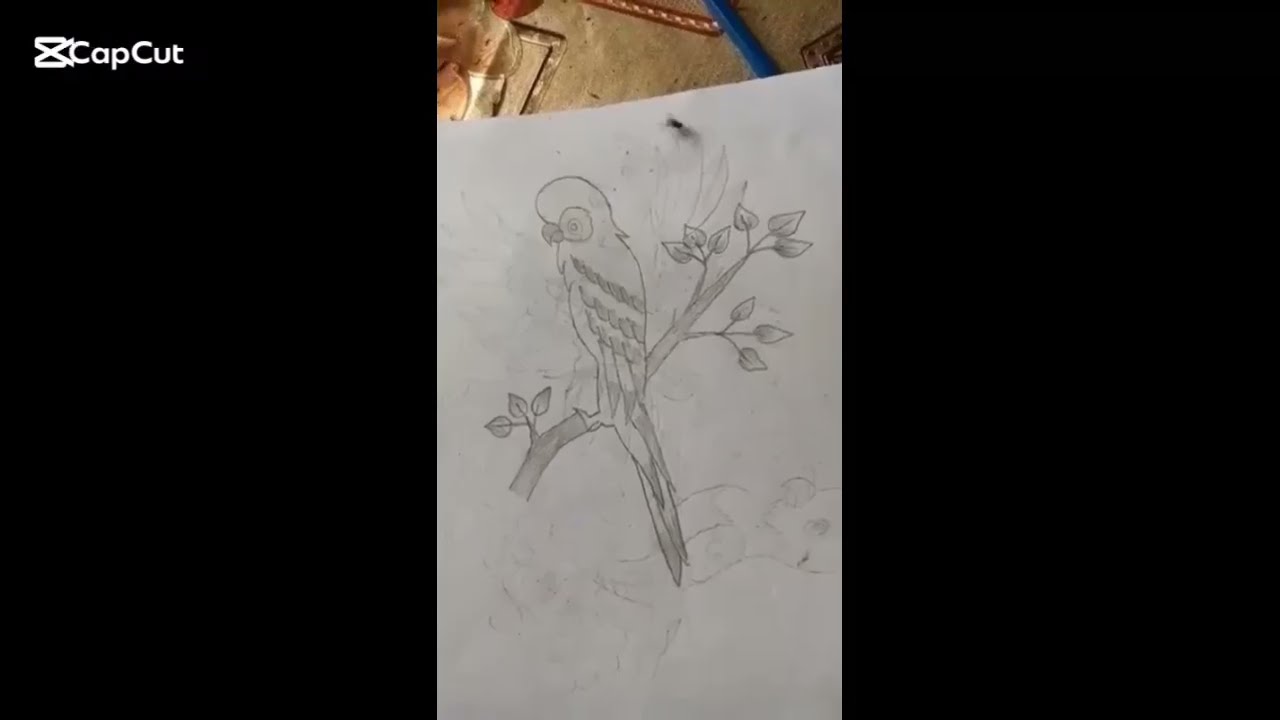 Parrot Drawing | How to draw Parrot 🦜 Sketch..... | Scenery Drawing | Bird drawing | Pencil sketch
