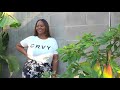 KIN by Kristine New Collection